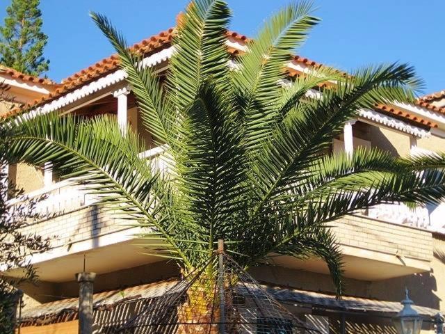 Alex - Nancy Apartments - Zaga Beach Koróni Екстериор снимка